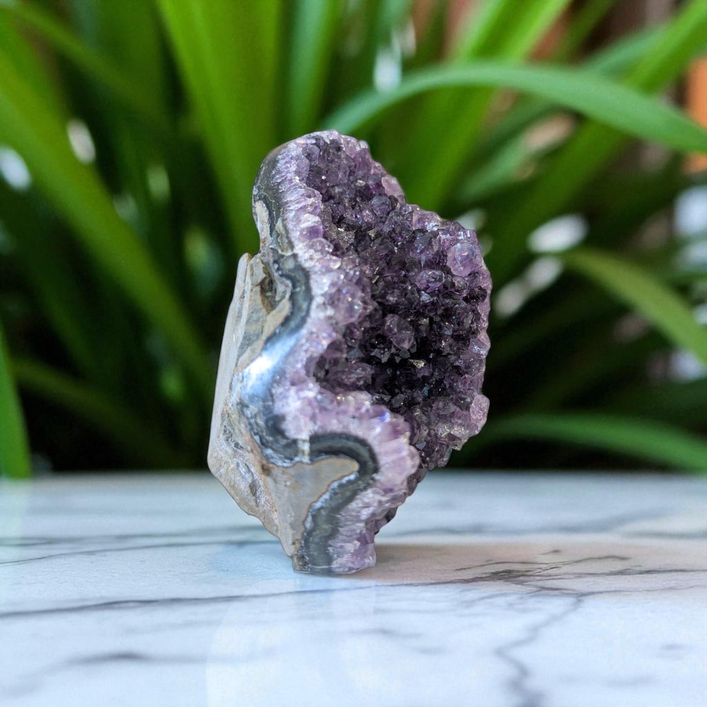 Amethyst - 12cm x 7cm on white marble 4