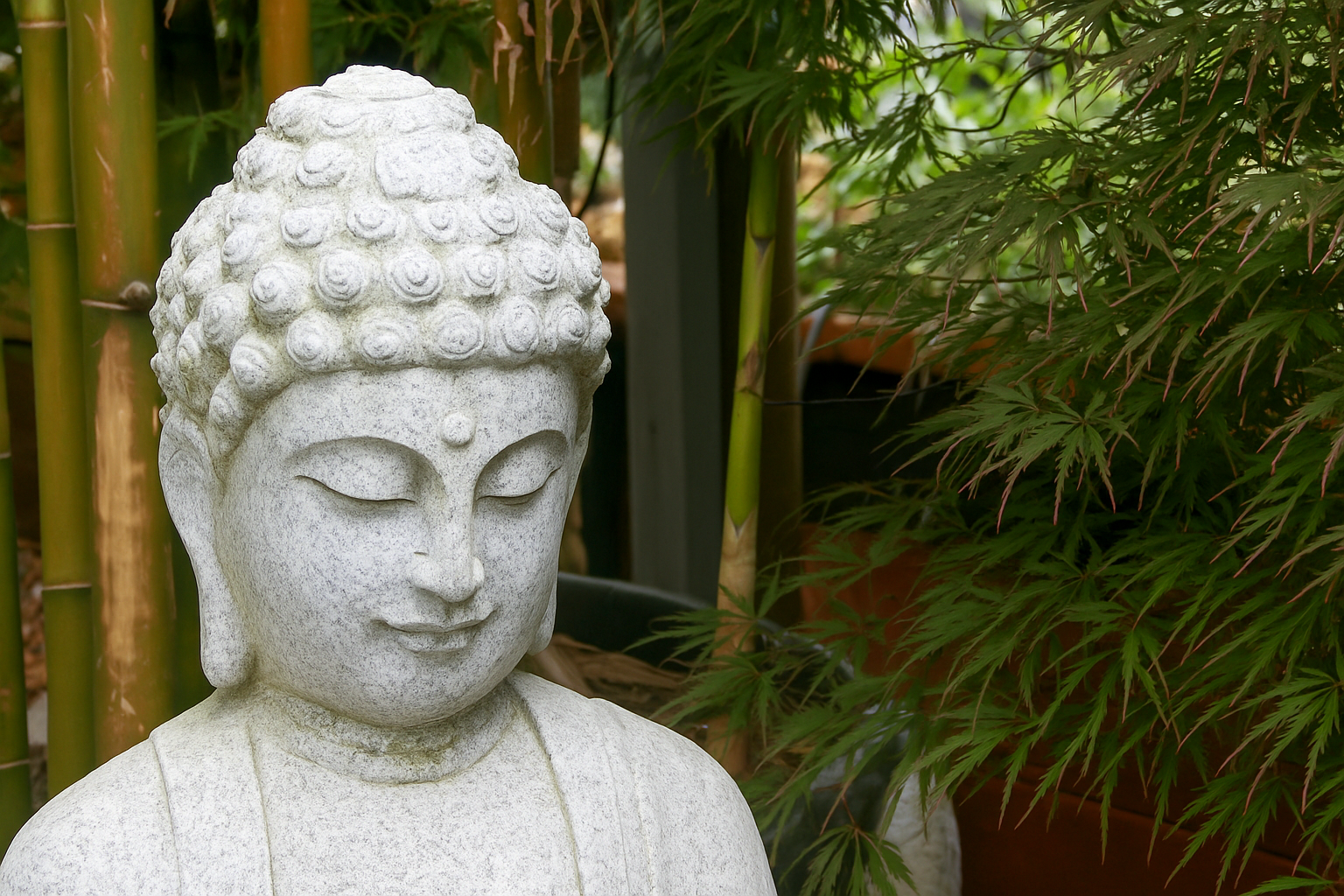 Bhudda surrounded by plants