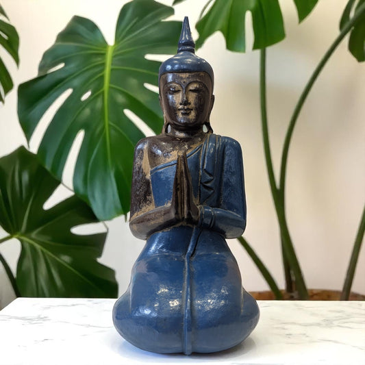 Carved wooden buddha blue front with plants