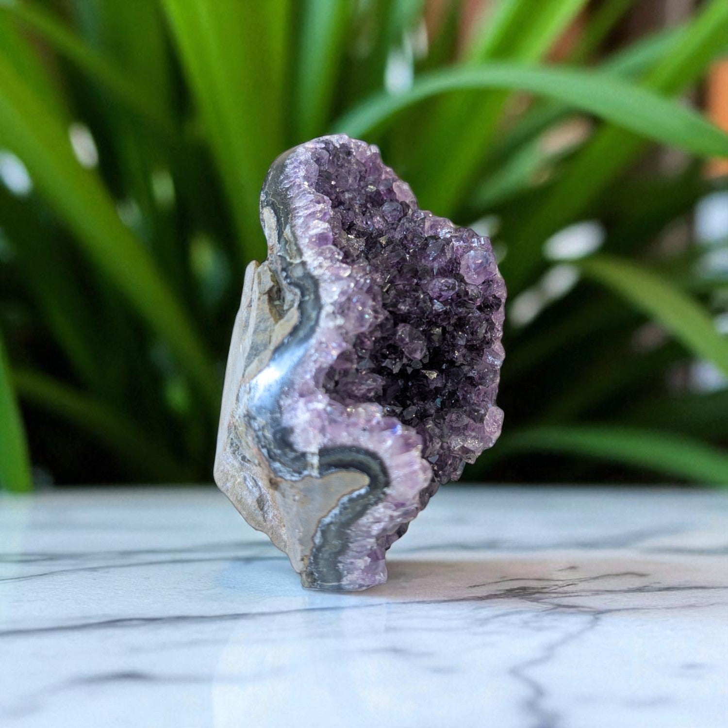 Amethyst - 12cm x 7cm on white marble 4