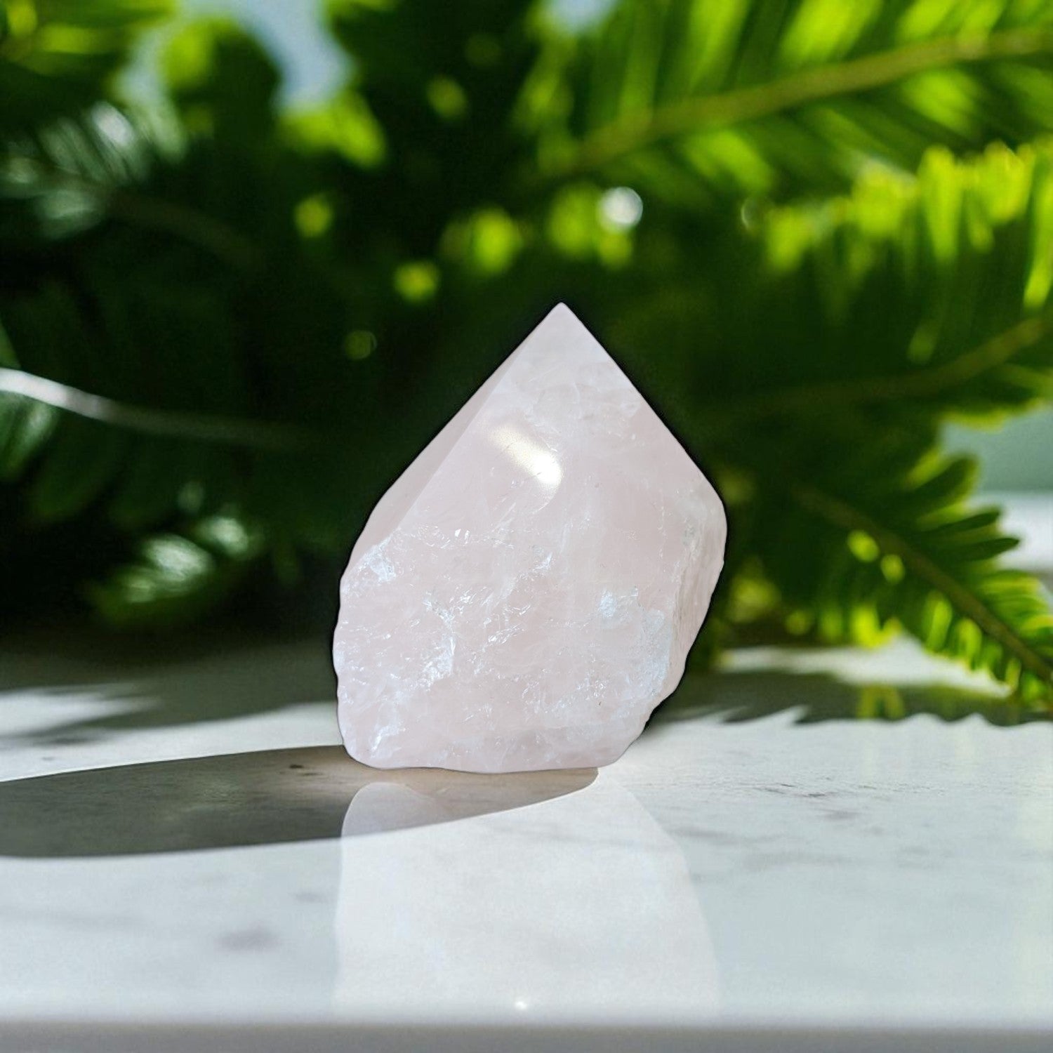 Rose Quartz Point - 8cm x 8cm on marble 4