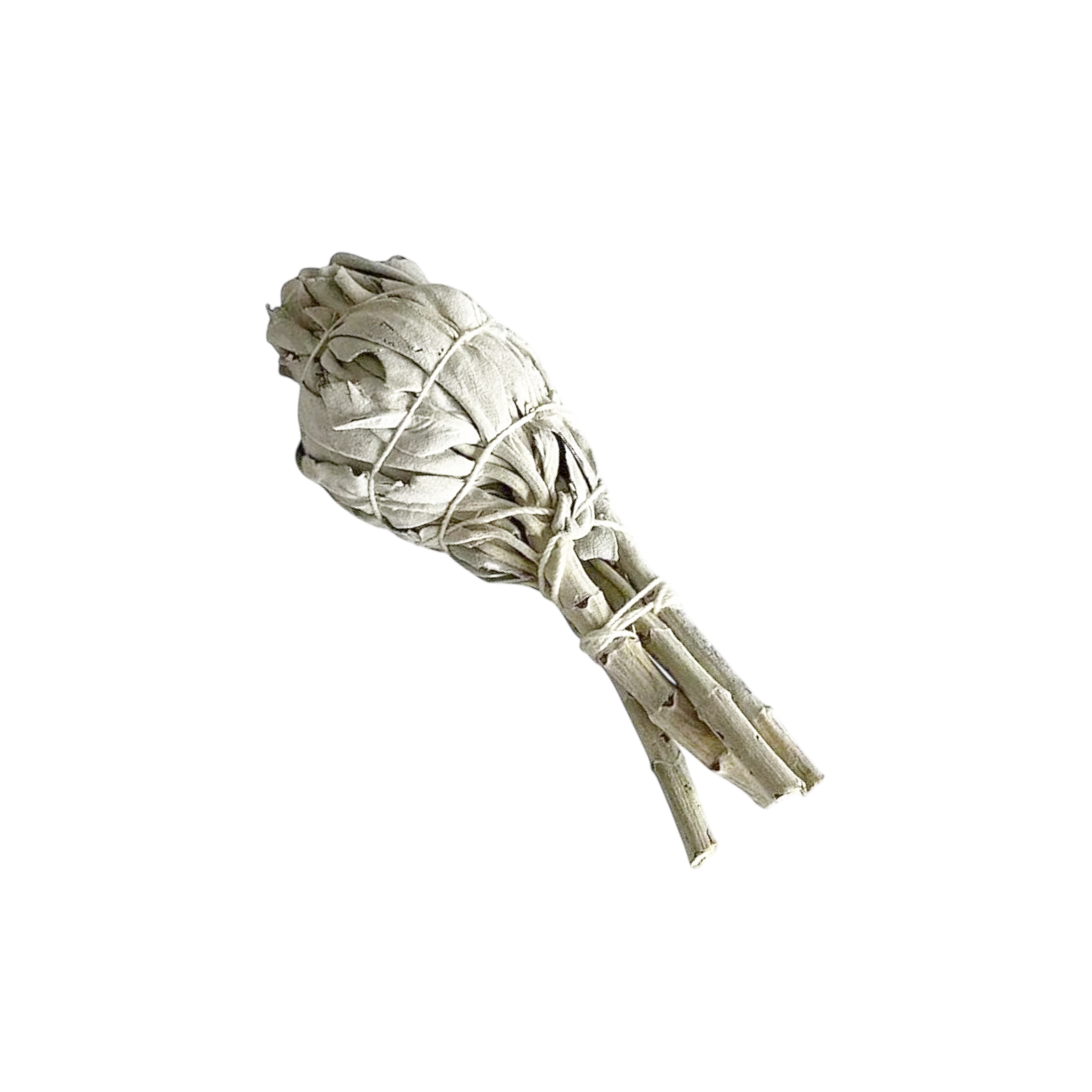 White Sage Smudge Torch stick - 4"