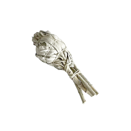 White Sage Smudge Torch stick - 4"