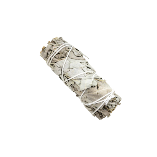 White Sage Smudge Stick - 4"